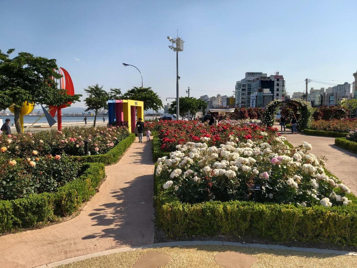 Pohang Valentine Hotel Exterior photo